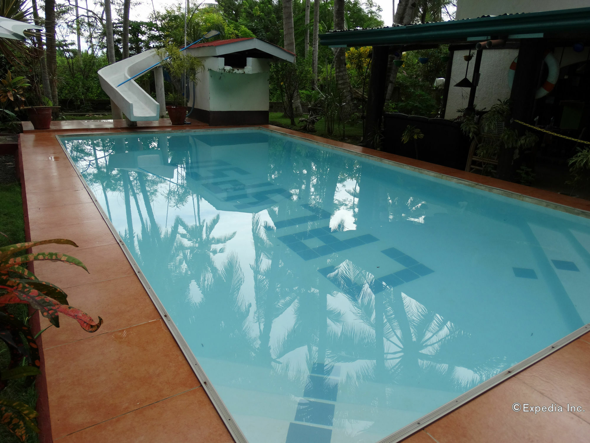 Calypso Resort Panglao Dış mekan fotoğraf