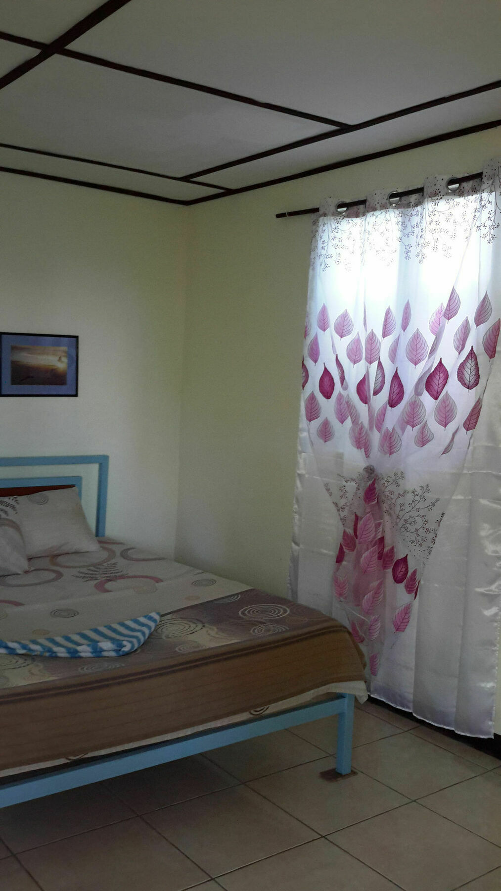 Calypso Resort Panglao Dış mekan fotoğraf